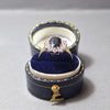 9ct Gold Sapphire and Cubic Zirconia Dress Ring