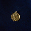 9ct Yellow Gold Scorpio Pendant