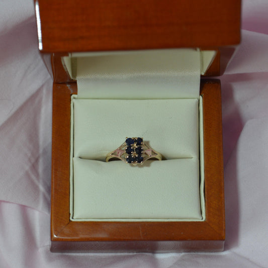 Six stoned 9ct Sapphire ring