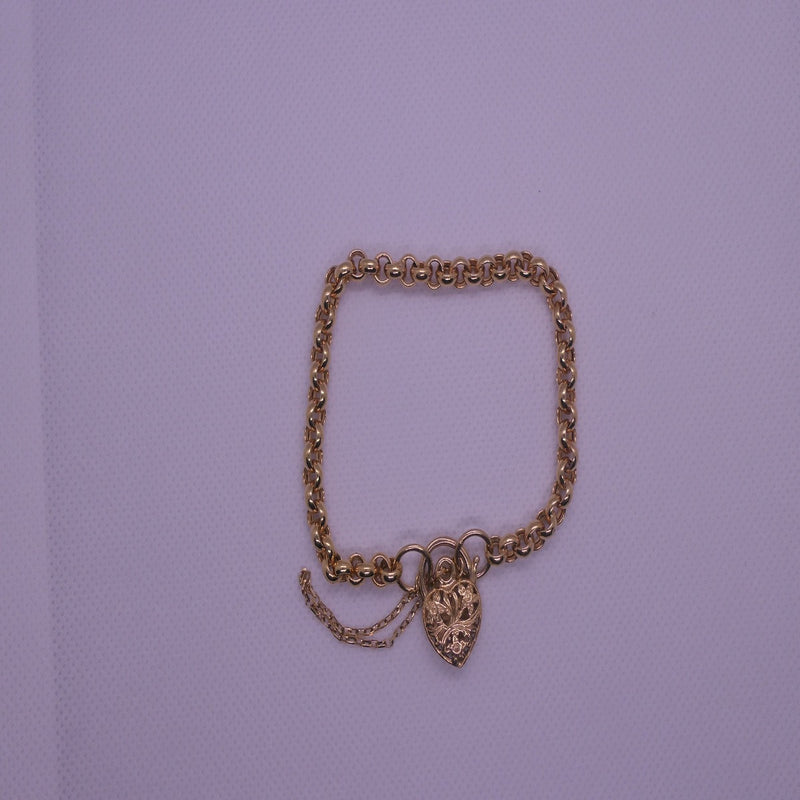9ct yellow Gold charm bracelet